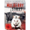 Mulberry Street - gejagt , gebissen , infiziert ! (uncut)